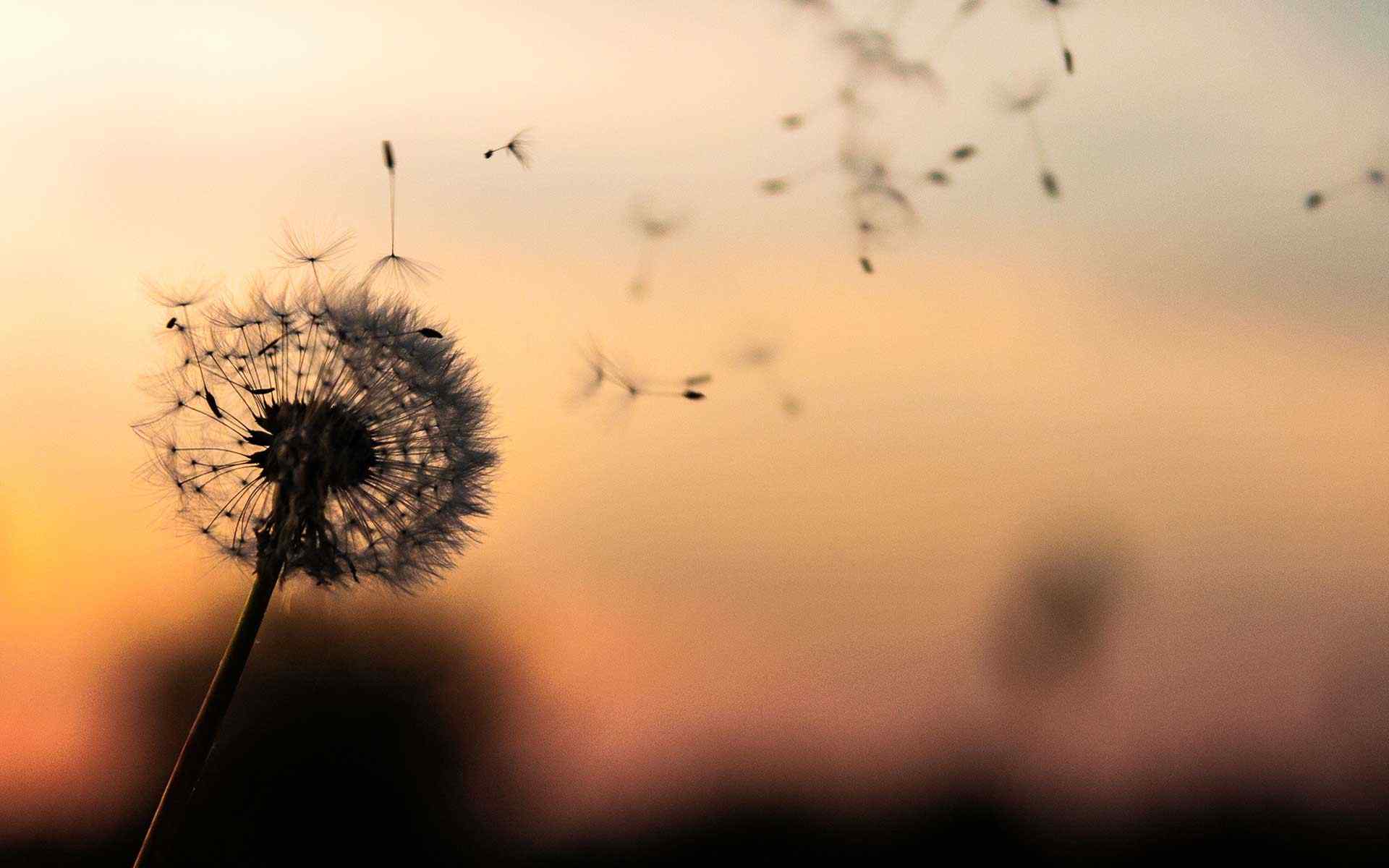 https://hadrahukuk.com/wp-content/uploads/2018/09/post_02.jpg